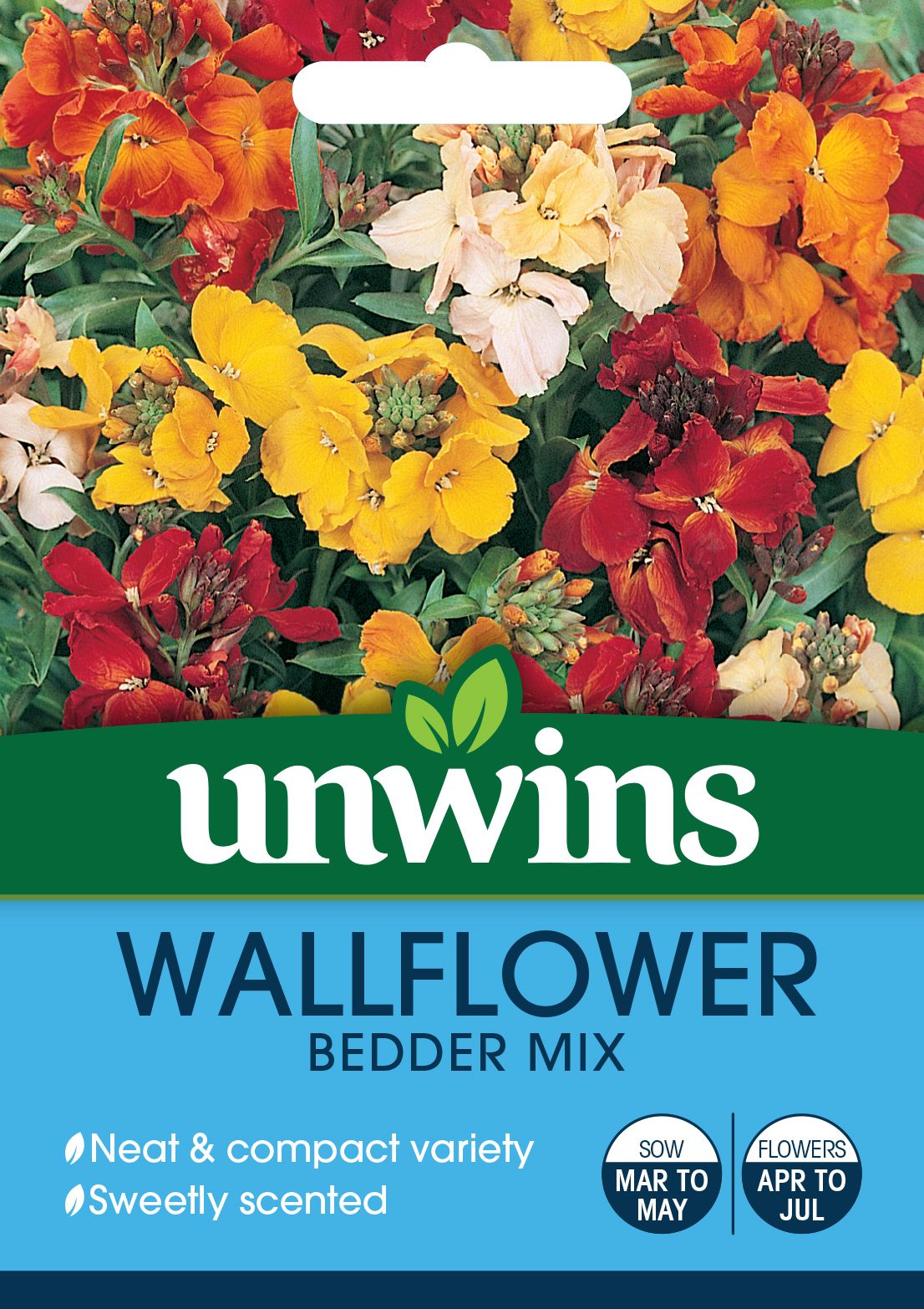 Wallflower Bedder Mix