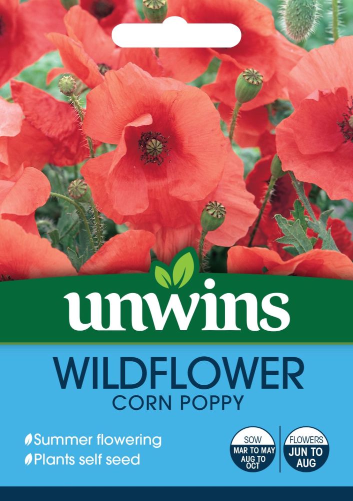 Wildflower Corn Poppy