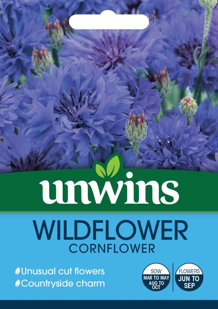 NH Wildflower Cornflower