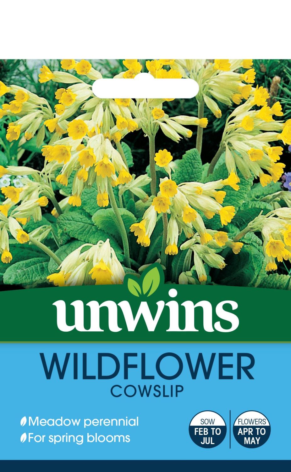 Wildflower Cowslip
