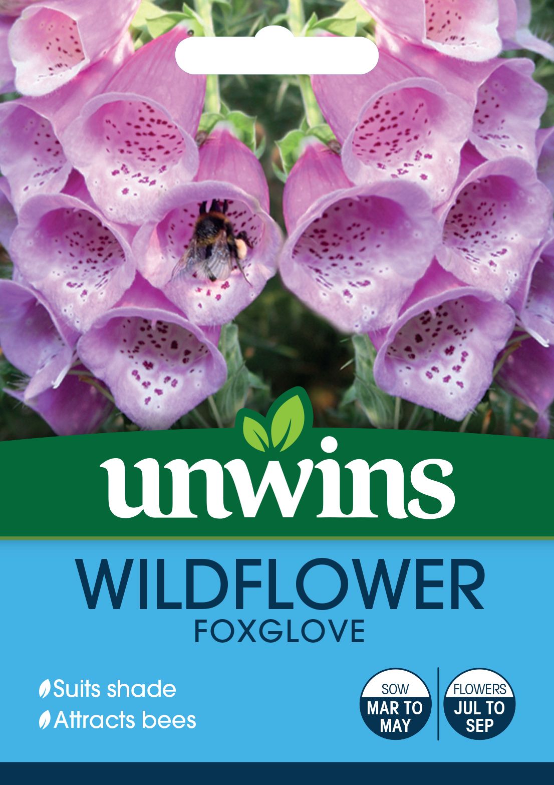 Wildflower Foxglove