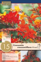 Crocosmia Floramixed - 15 bulbs