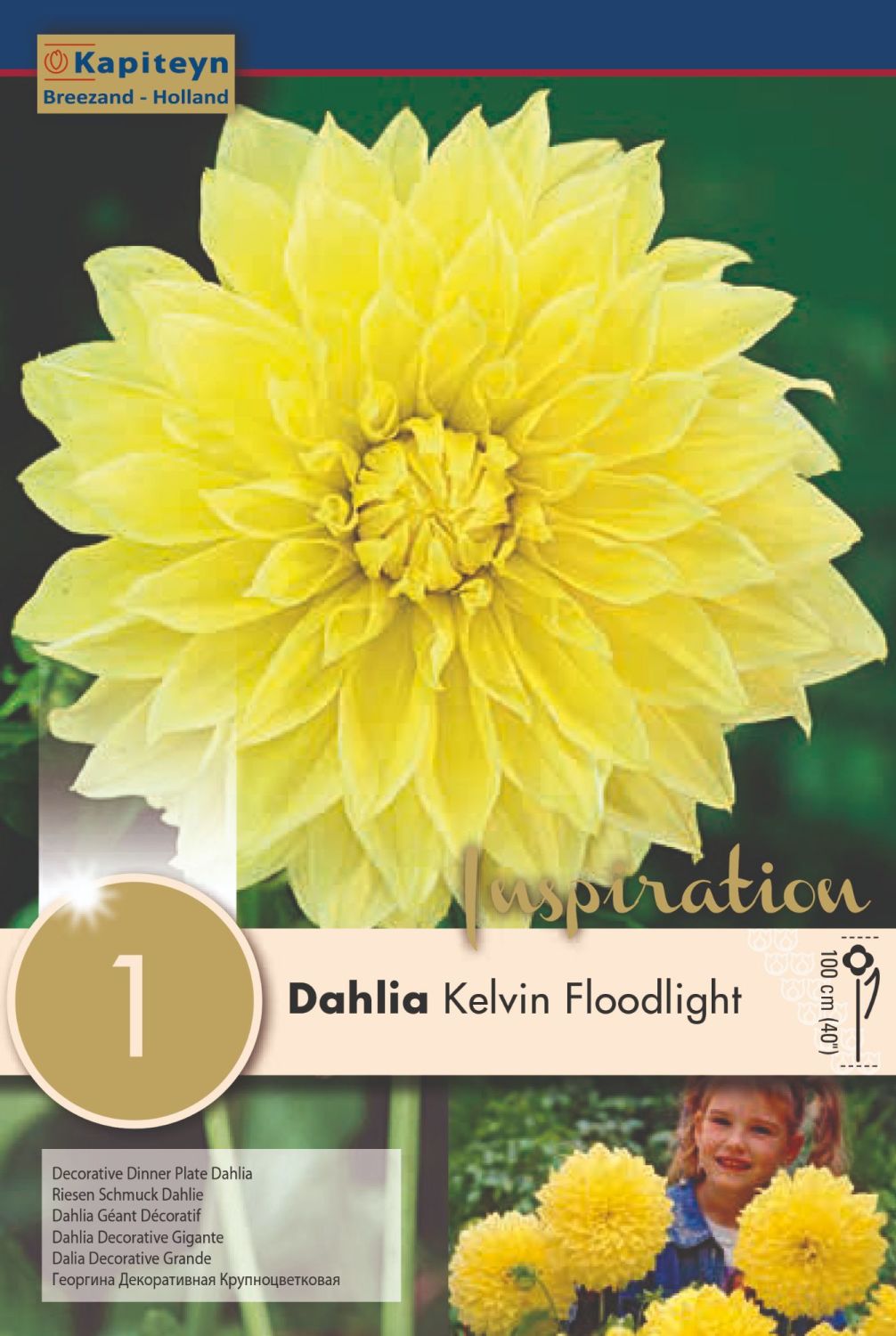 DAHLIA KELVIN FLOODLIGHT