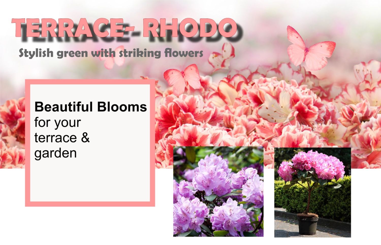 Drinagh Garden Garden Shop