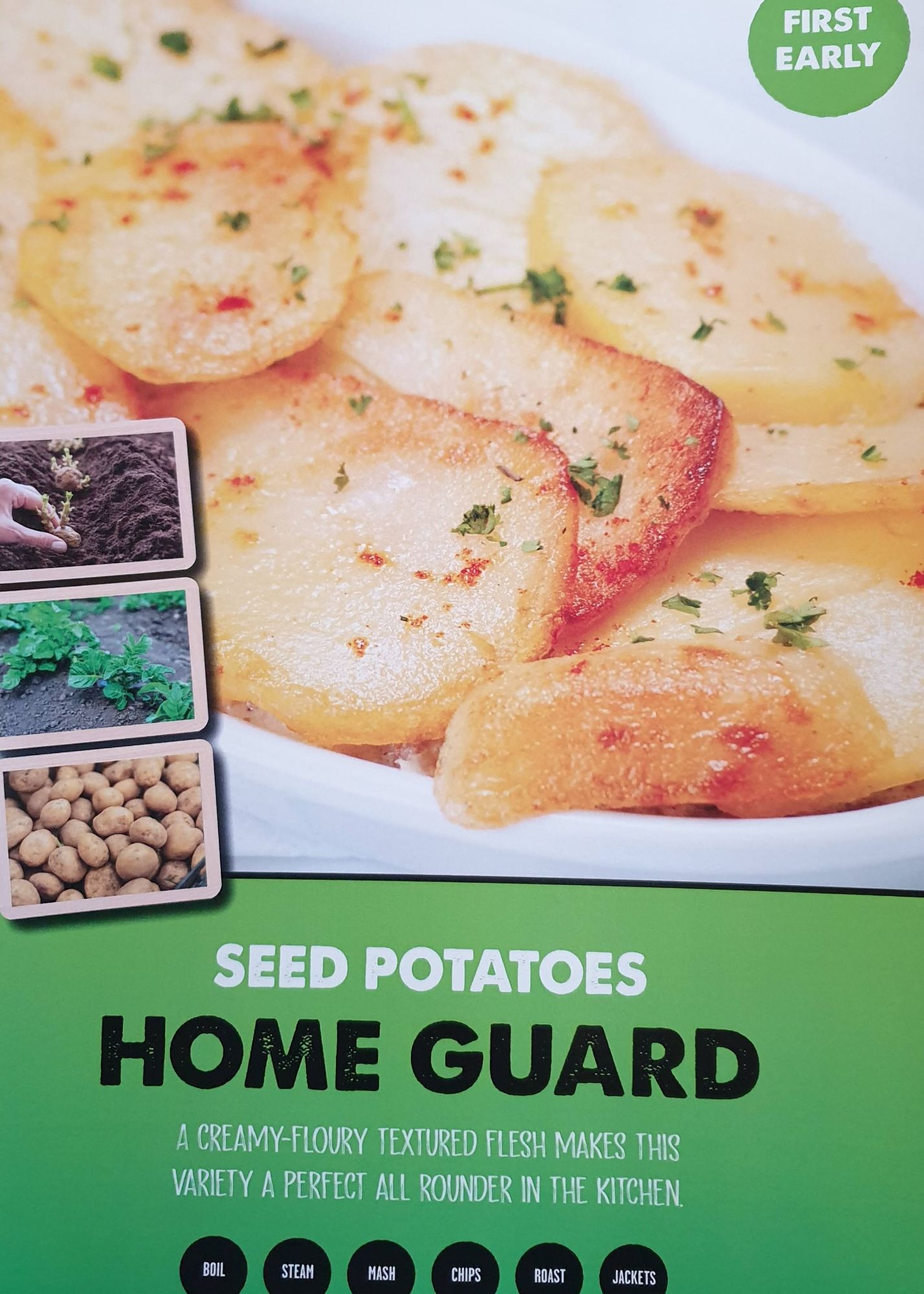 home_gueard_seed_potato_info.jpg