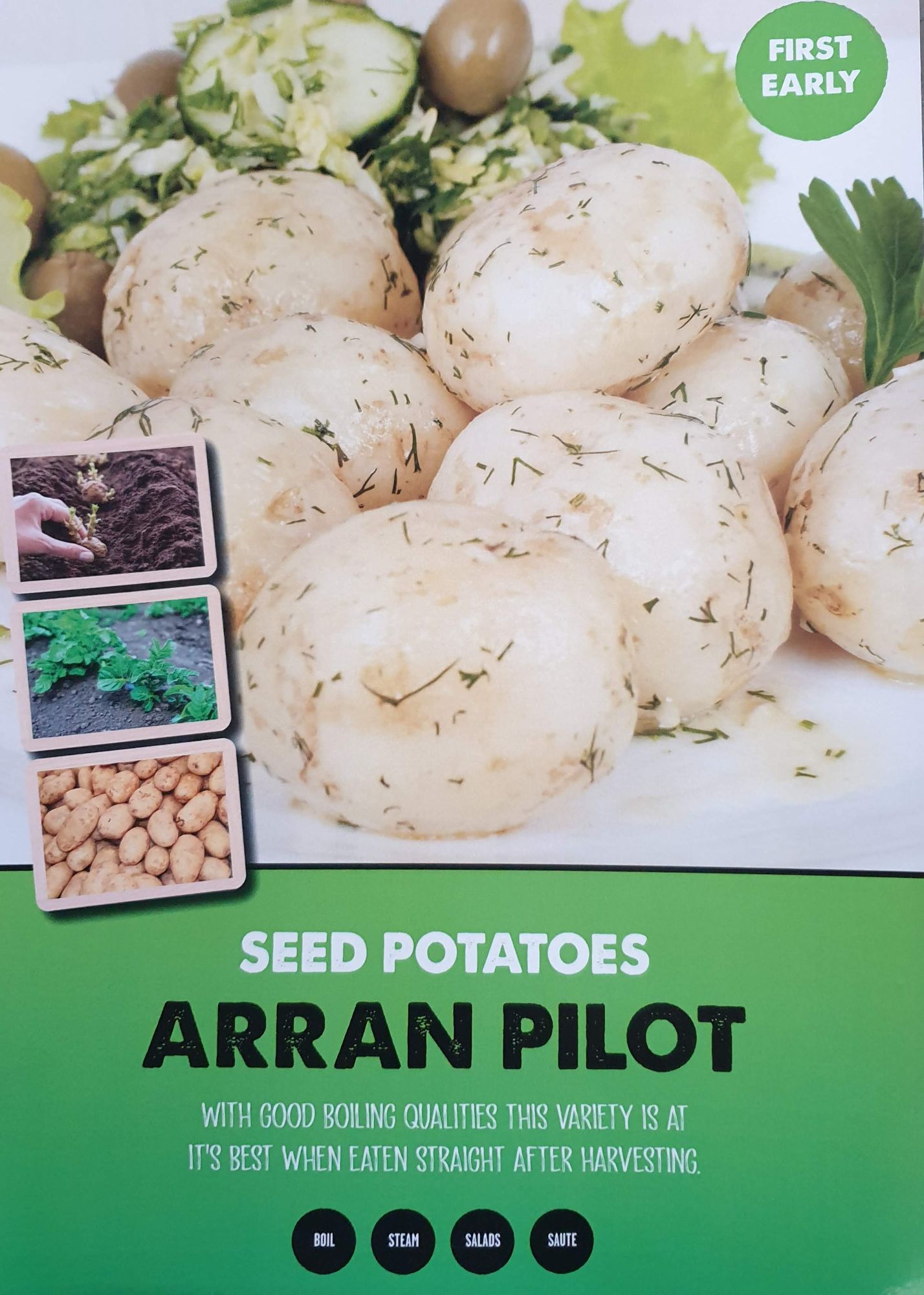 arran_pilot_seed_potato_info.jpg