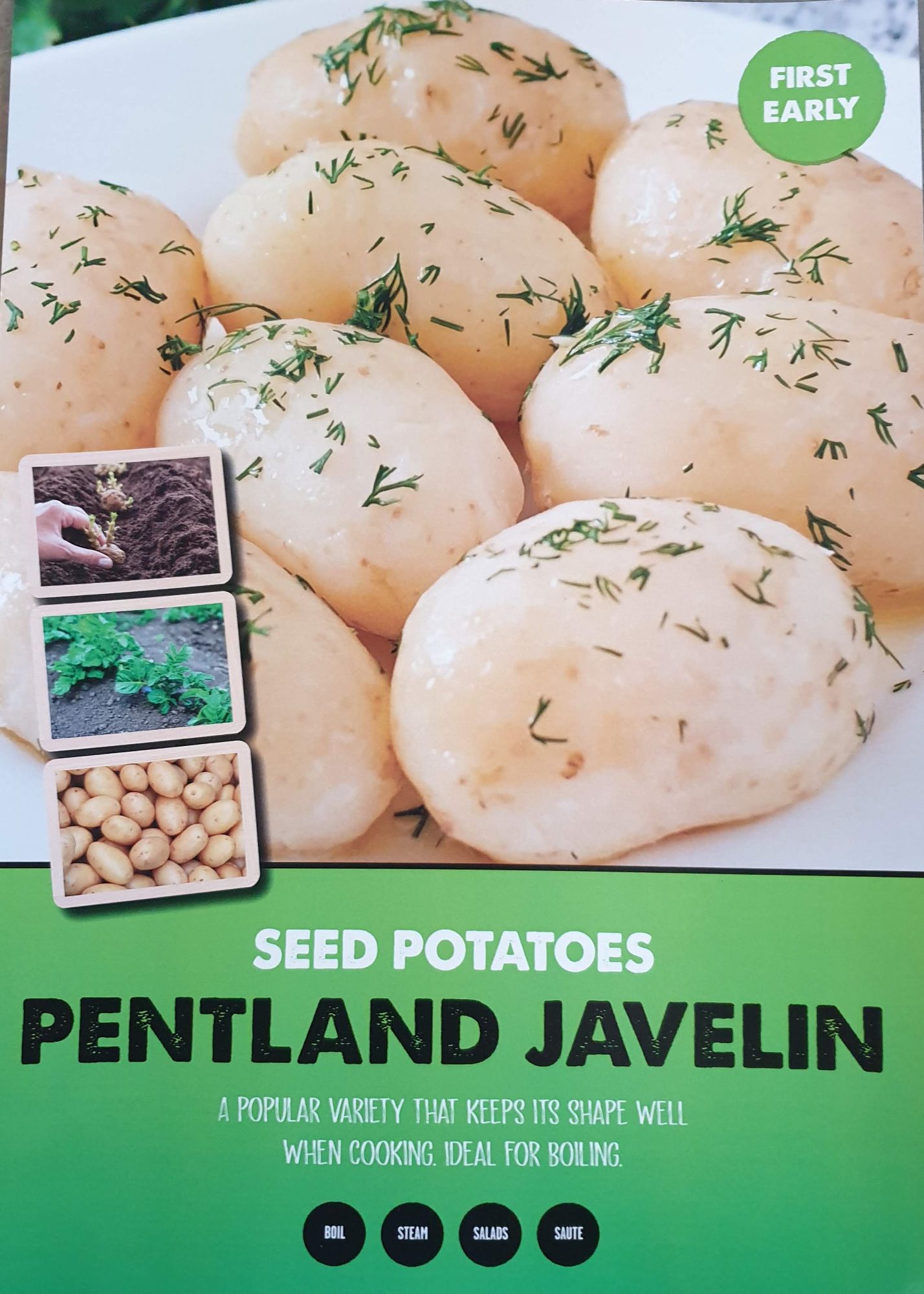 pentland_javelin_seed_potato_info.jpg