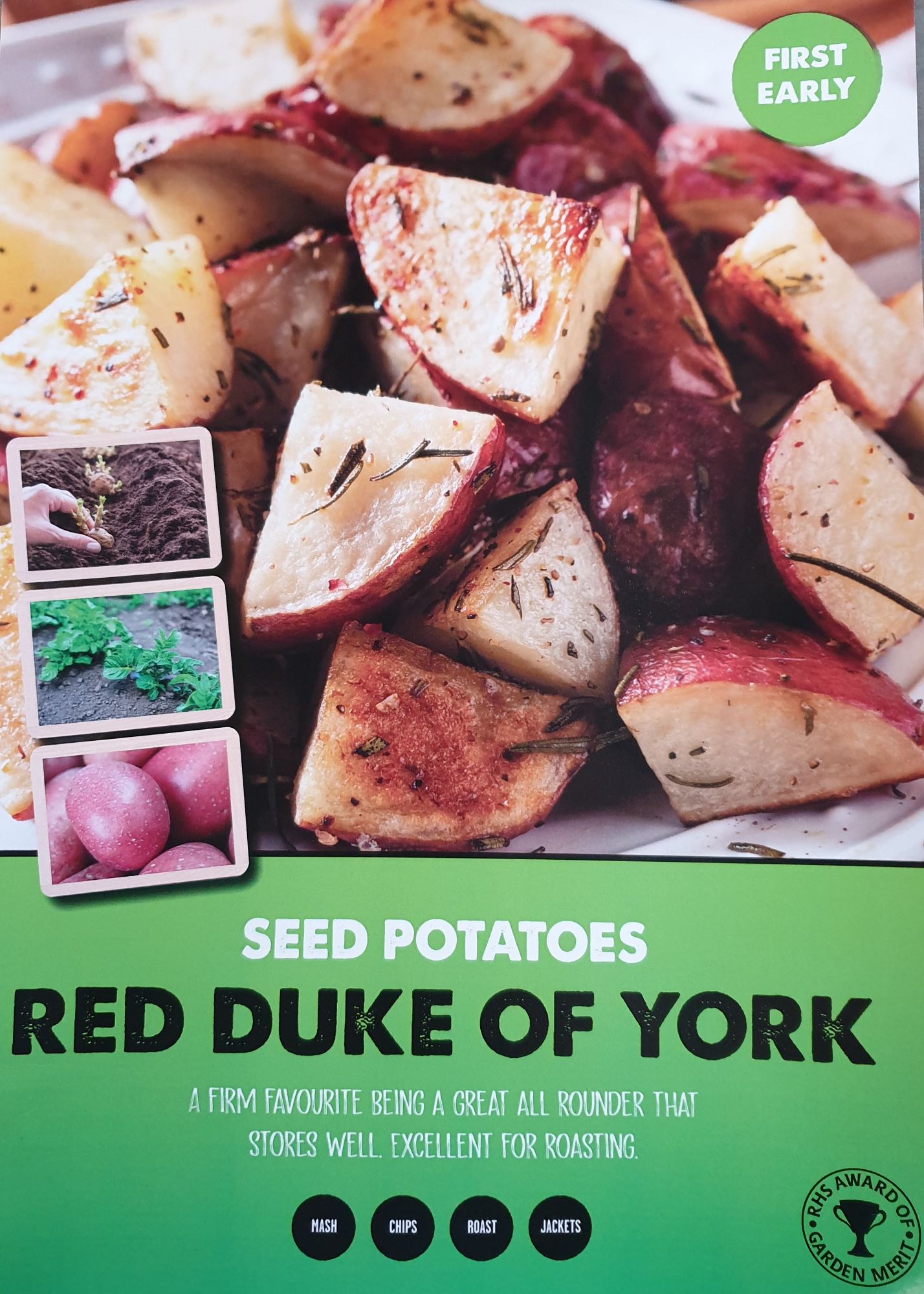 red_duke_of_yorks_seed_potato_info.jpg