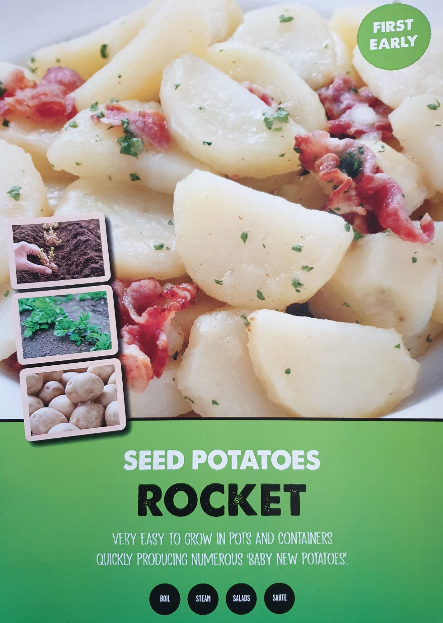 rocket_seed_potato_info.jpg
