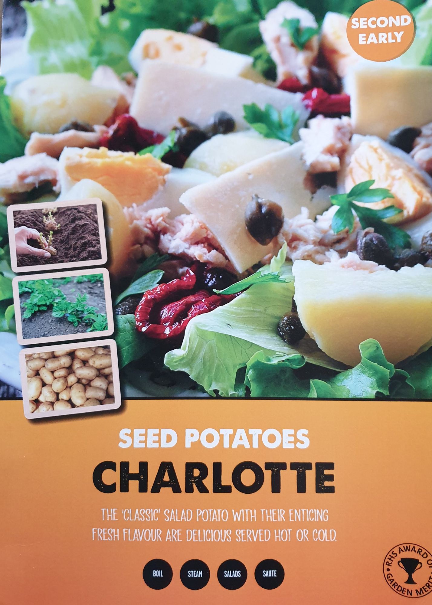 charlotte_seed_potato_info.jpg