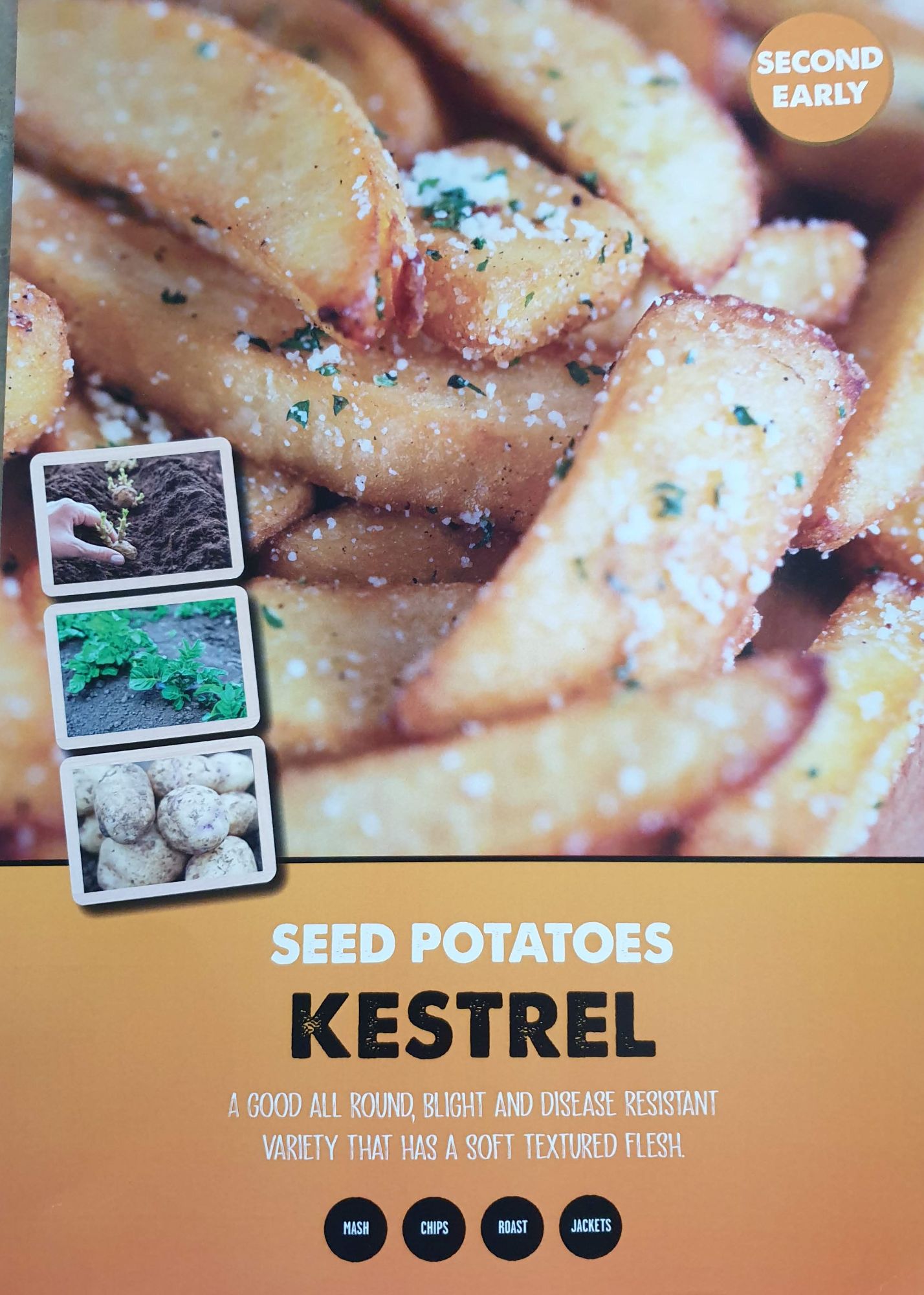 kestrel_seed_potato_info.jpg