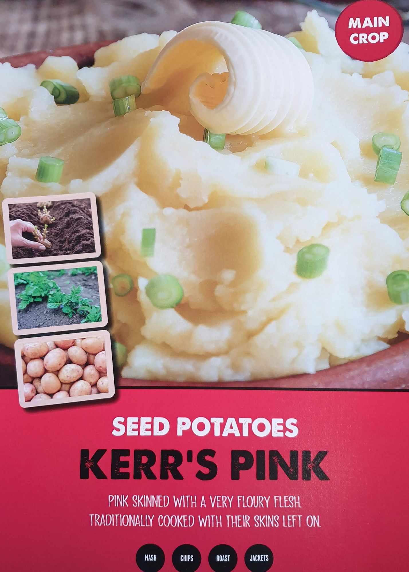 kerrs_pink_seed_potato_info.jpg