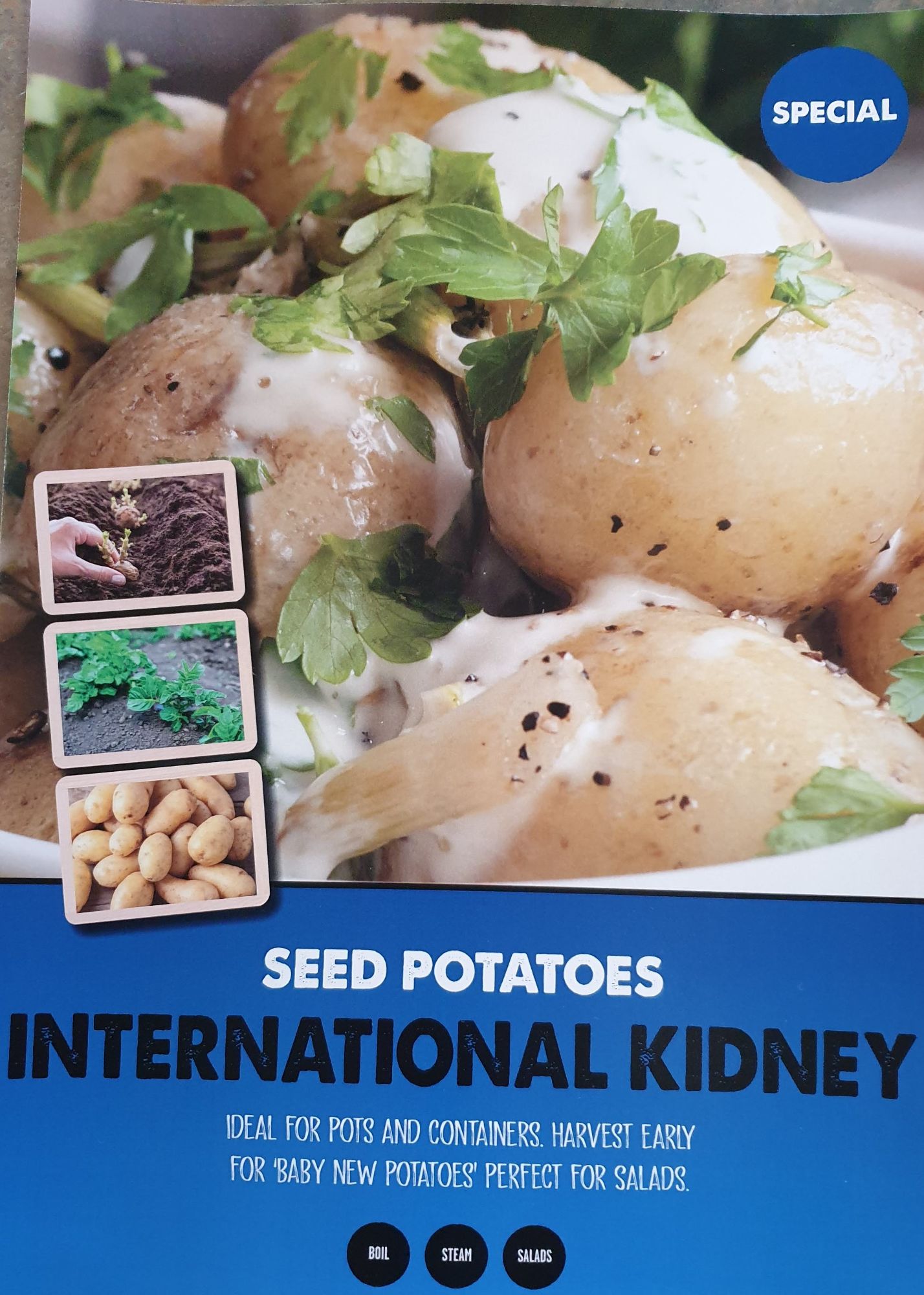 internationale_kidney_seed_potato_info.jpg