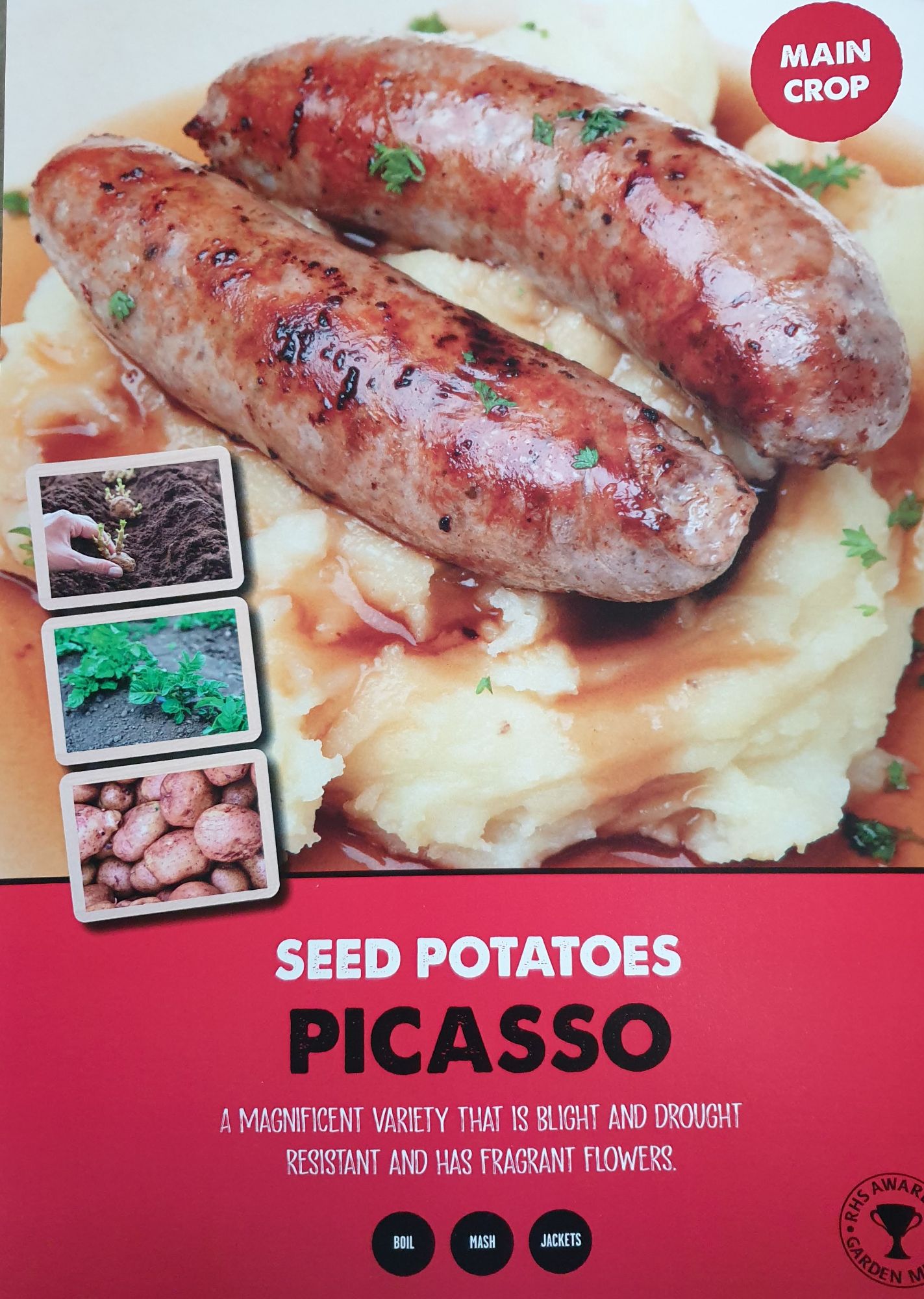 picasso_seed_potato_info.jpg