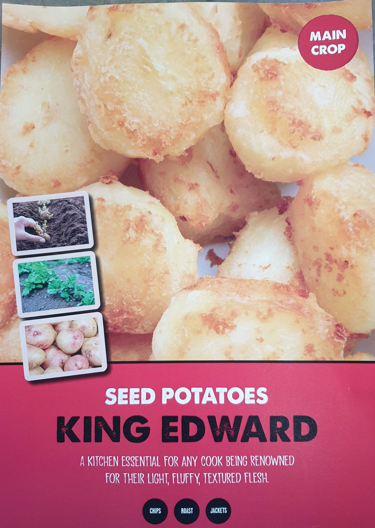 king_edward_seed_potato_info.jpg