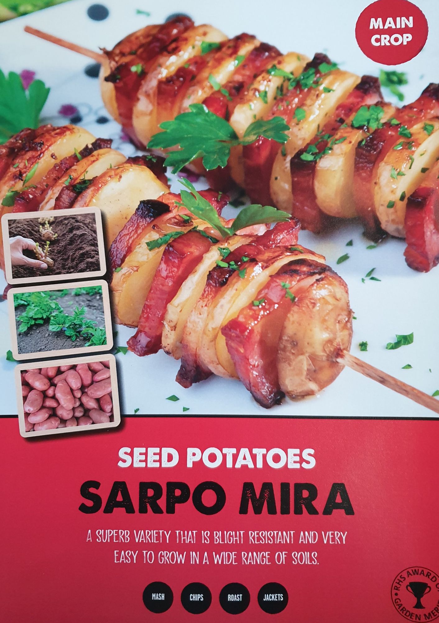 sapro_mira_seed_potato_info.jpg