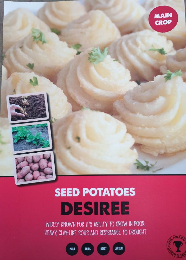 DESIREE seed potatoes main crop