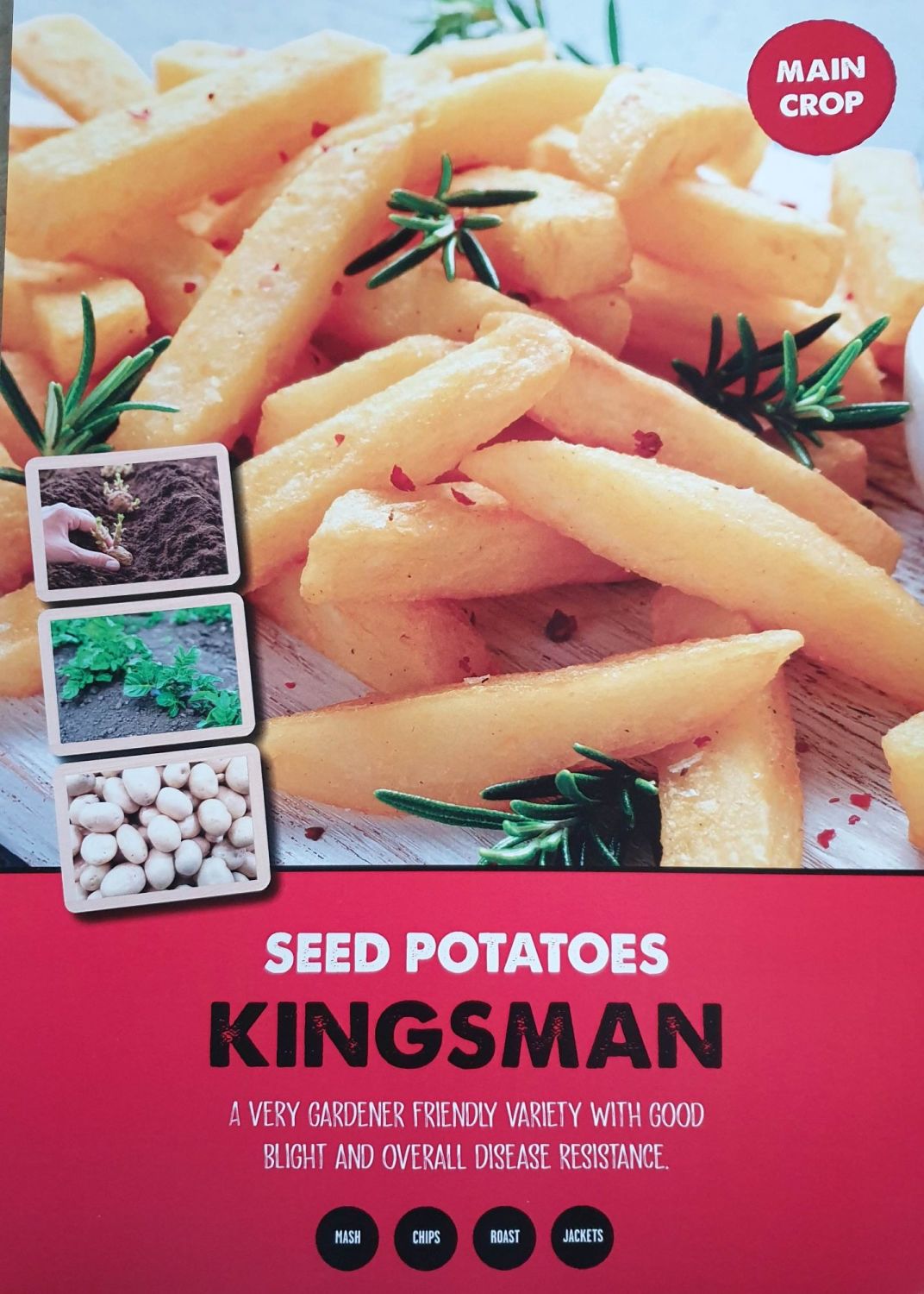 KINGSMAN seed potato main crop