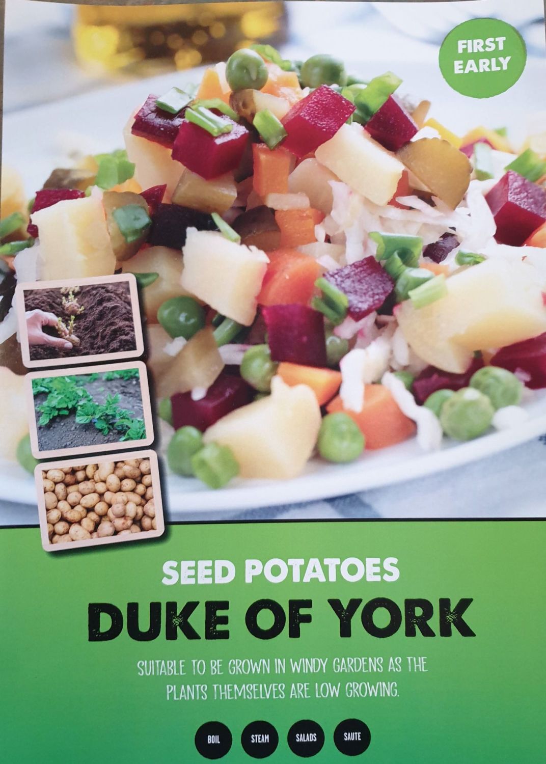 DUKE OF YORK 1st early seed potatoes