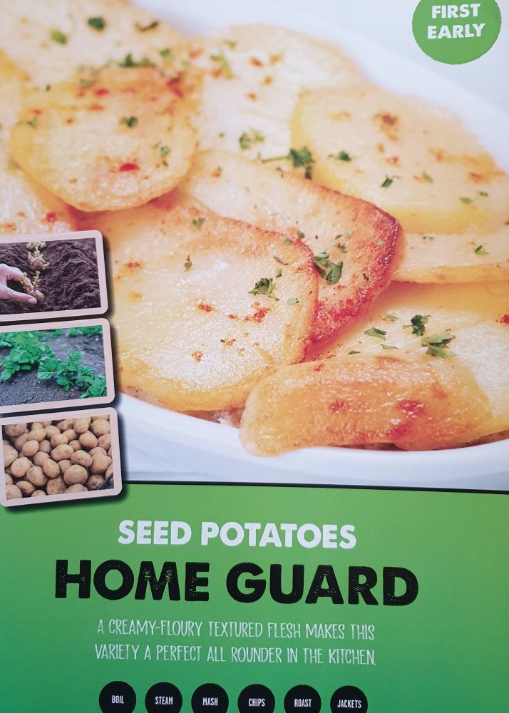HOMEGUARD 1st early seed potatoes