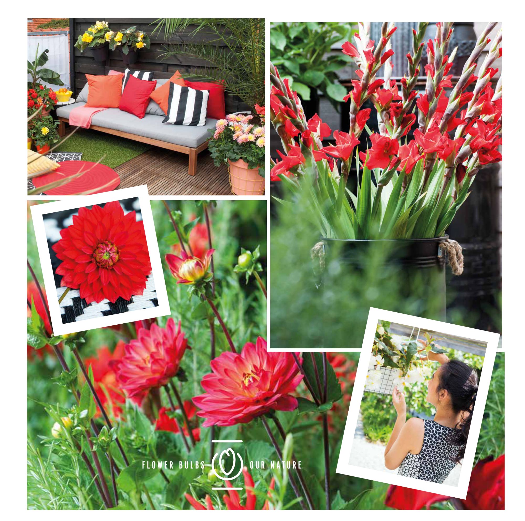 Drinagh Garden Garden Shop