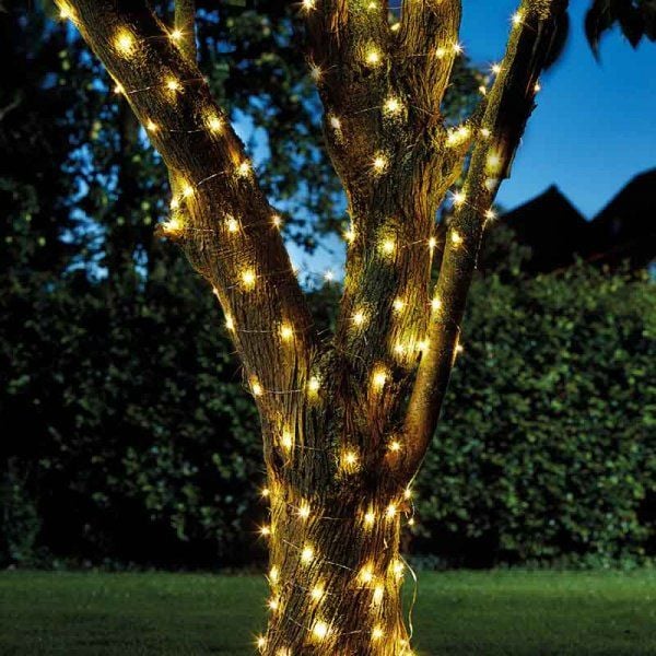 FIREFLY STRING LIGHTS - 50 WARM WHITE LEDS