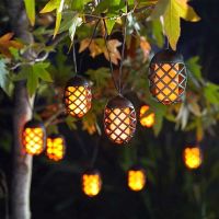 COOL FLAME STRING  LIGHTS SET OF 10