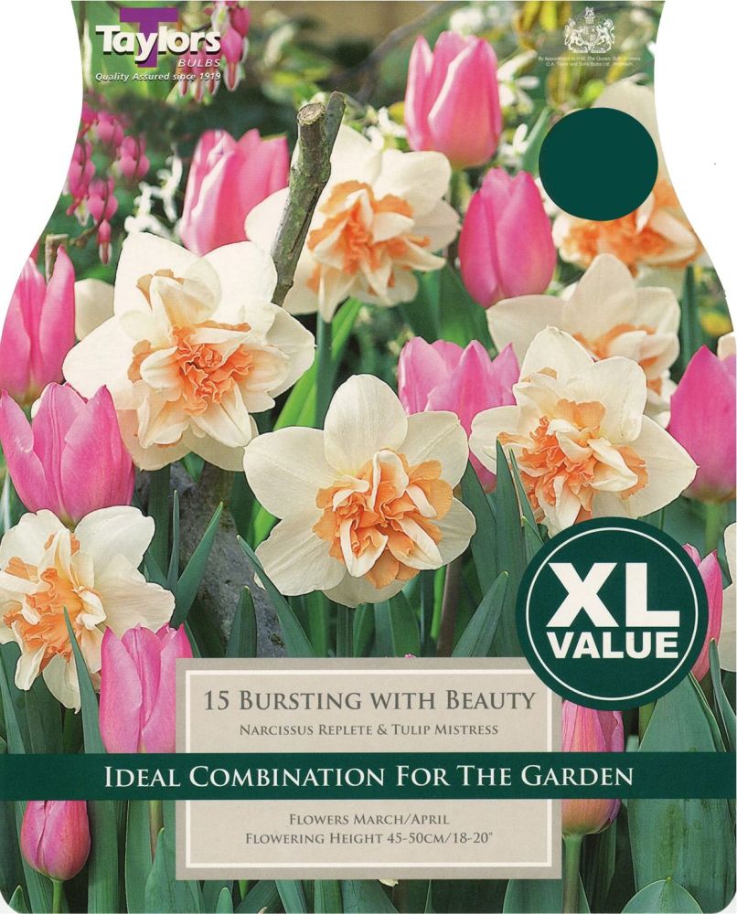 NARCISSUS BURSTING WITH BEAUTY - XL - COMBINATION