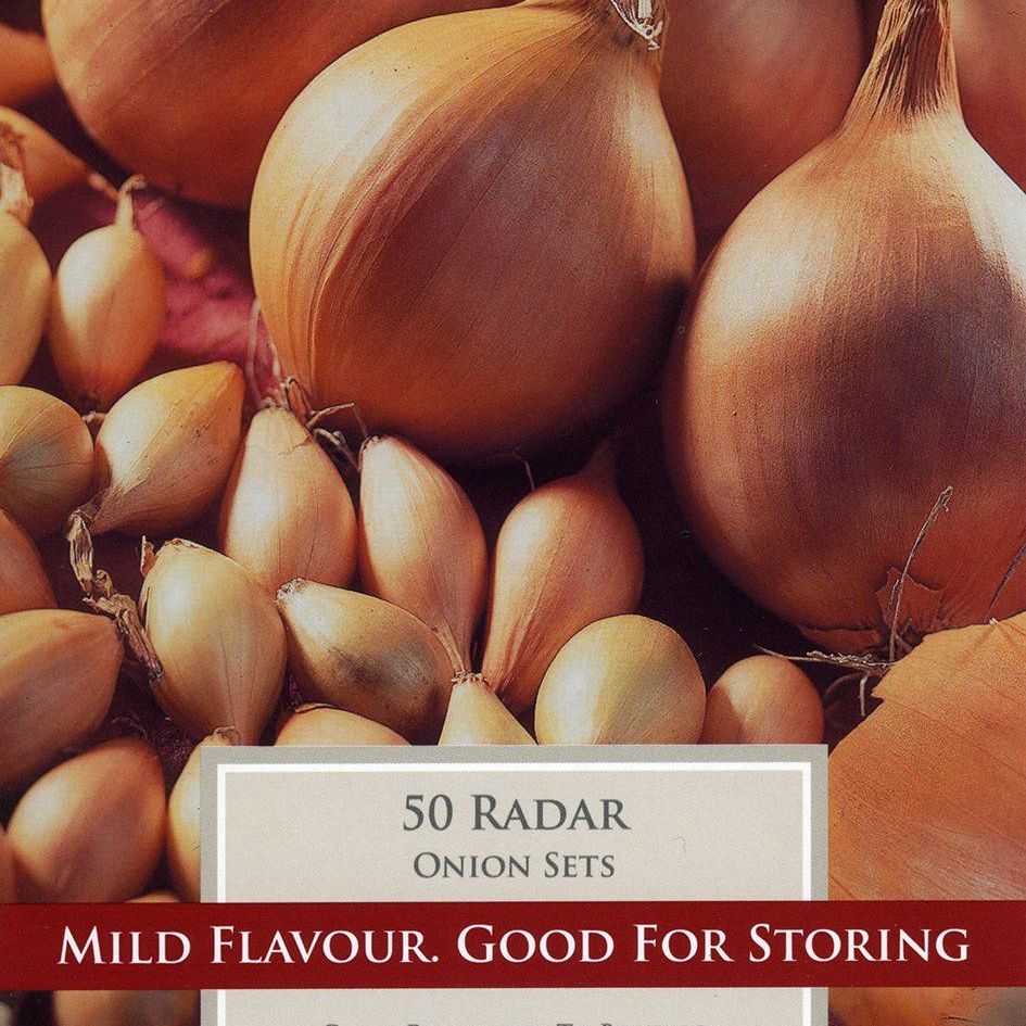 Radar Onion Set 50 per pack