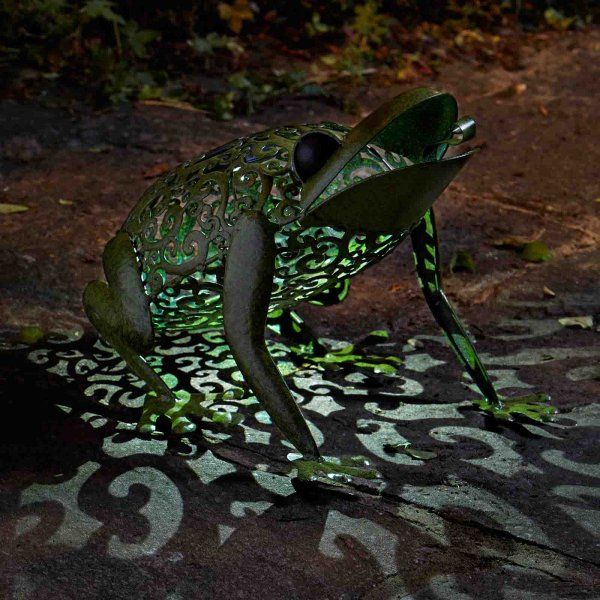 Solar Silhuette - Frog