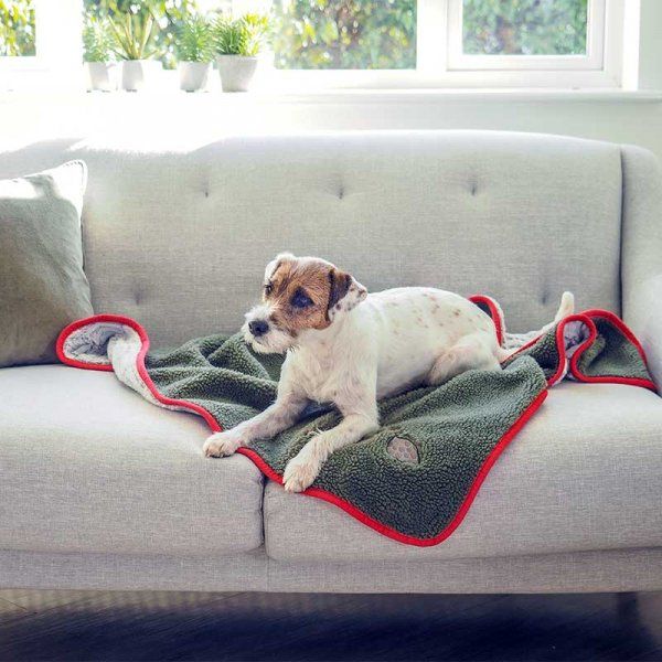 FEATHERED FRIENDS DOG COMFORTER