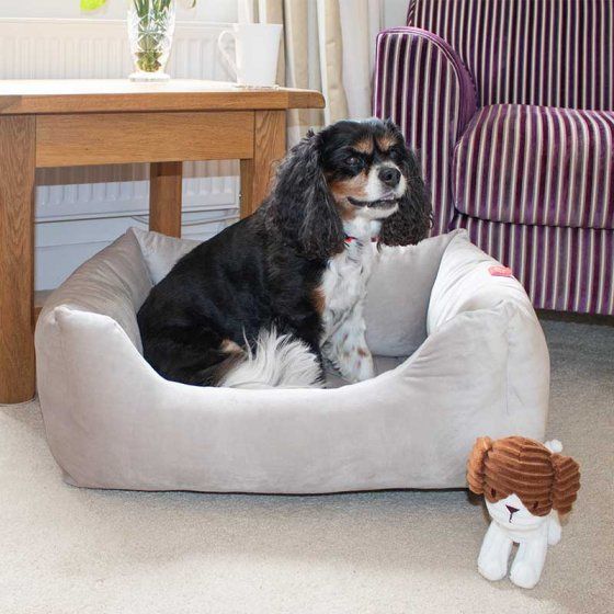 SILVER GREY VELOUR SQUARE DOG BED small
