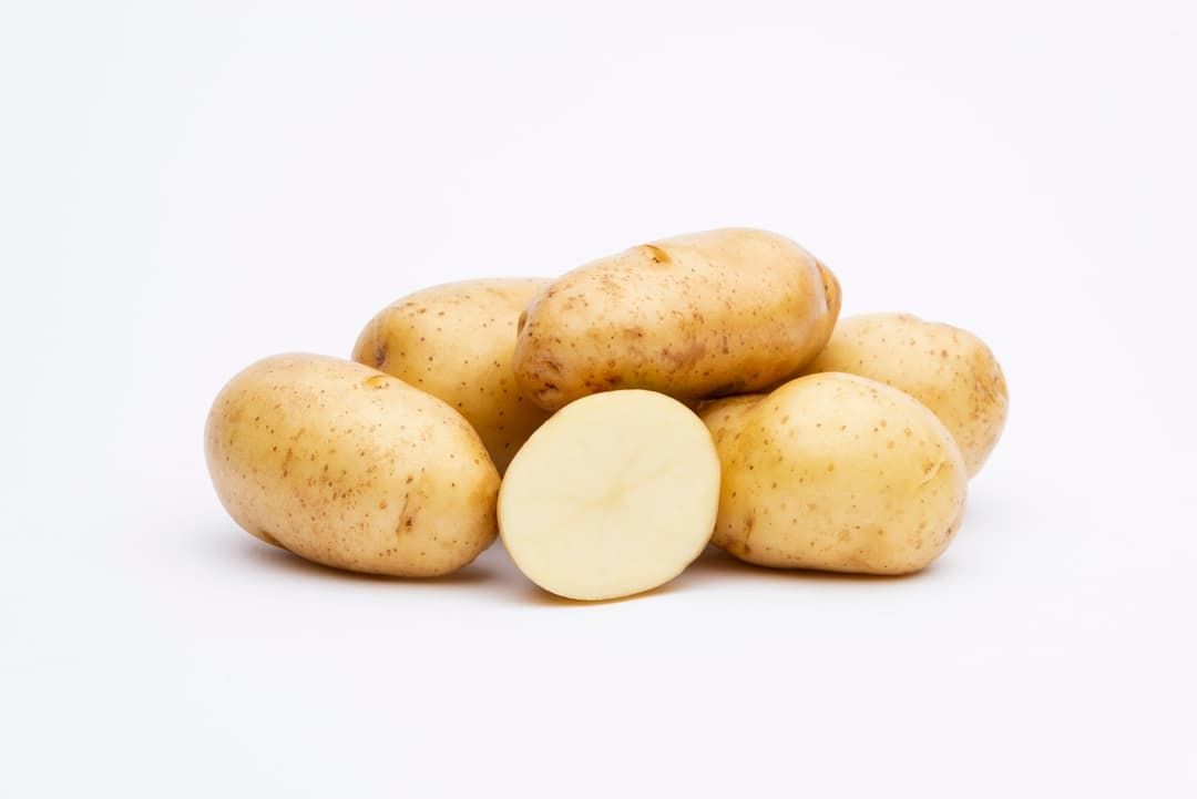 KELLY  main crop seed potato