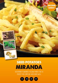 MIRANDA second earlies seed potatoes