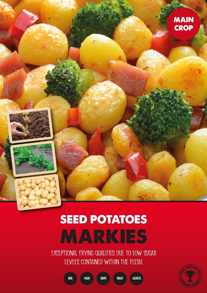 Seed Potatoes Main Crop - Markies - 2kg