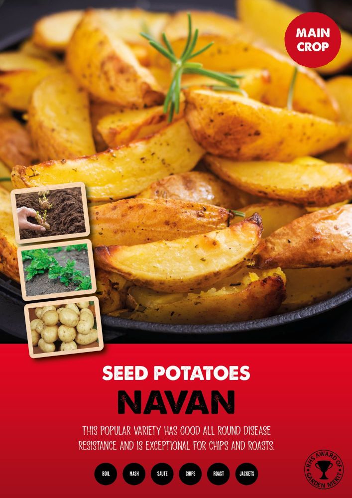 Seed Potatoes Main Crop - Navan - 2kg