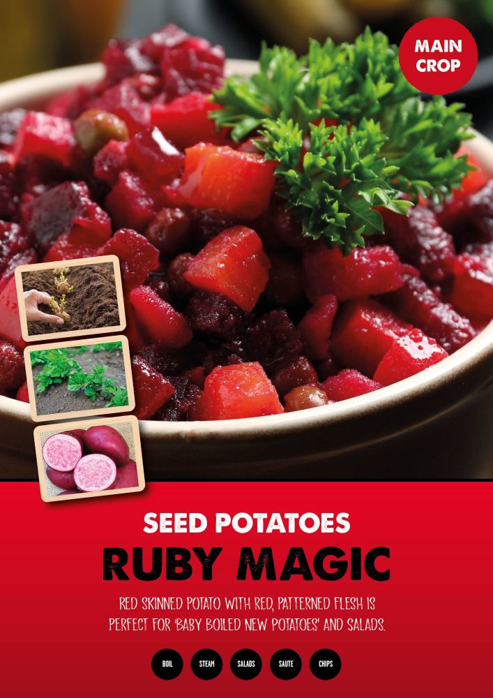 Seed Potatoes Main Crop - Ruby Magic - 2kg