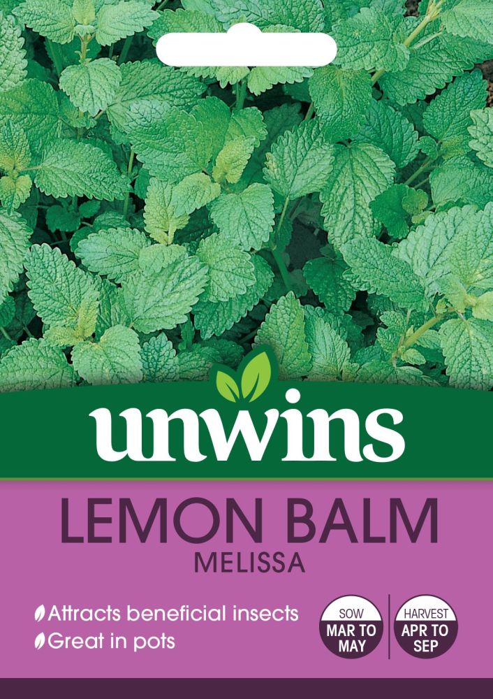 Herb Lemon Balm Melissa