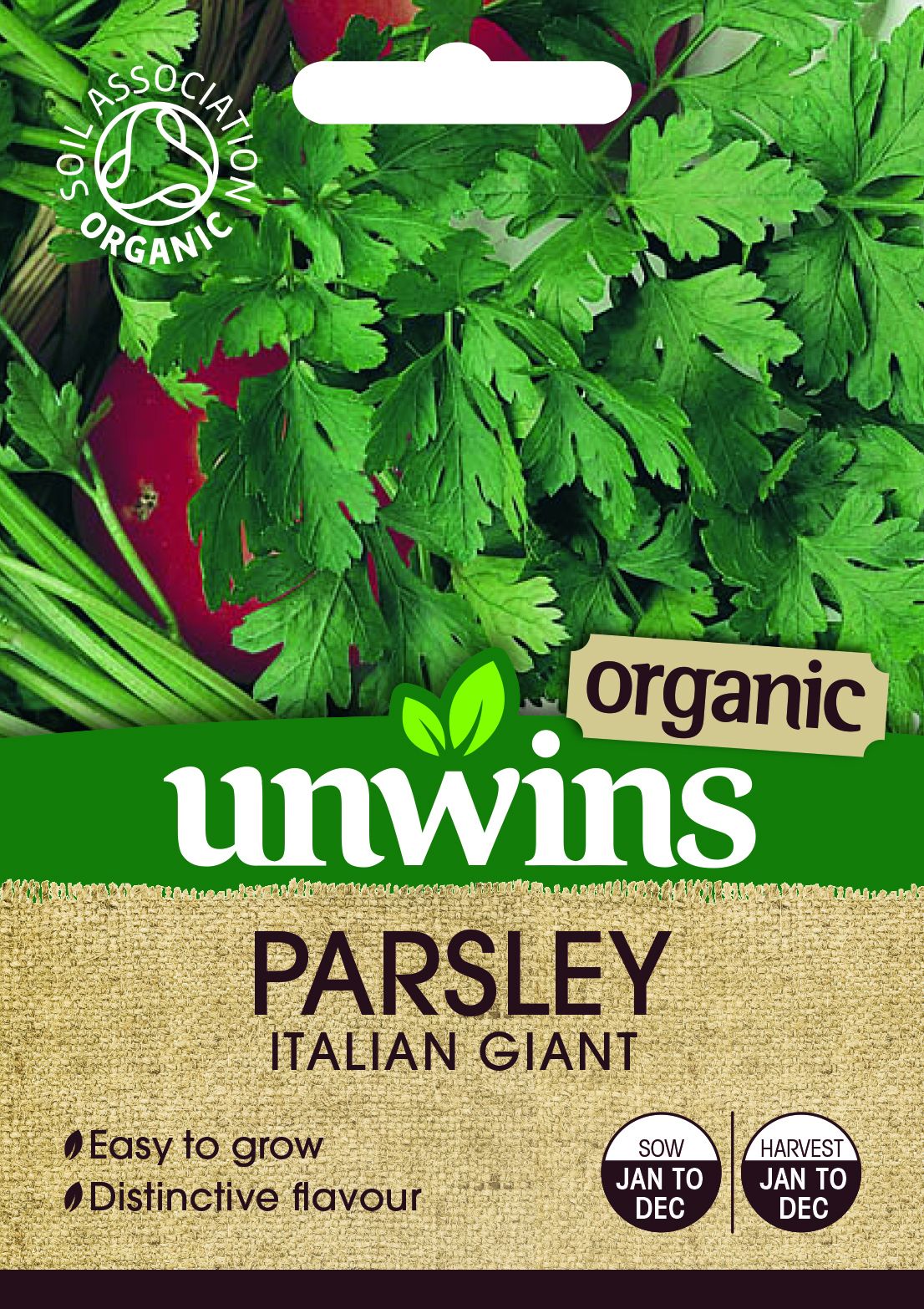 Herb Parsley Italian Giant (Organic)                           