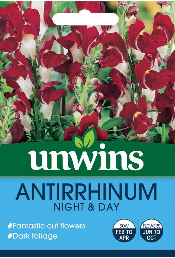 Antirrhinum 'Snappy Mix'