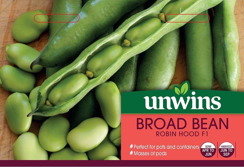 Broad Bean robin Hood F1