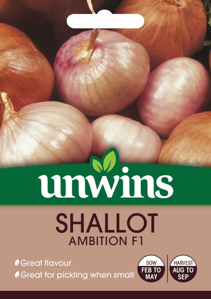 Shallot Ambition F1