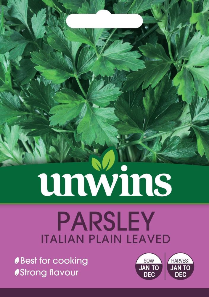 Herb Parsley Italian Plain Leaved