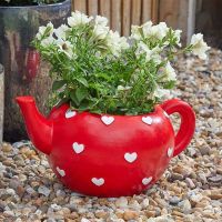 Planter - Heart Teapot