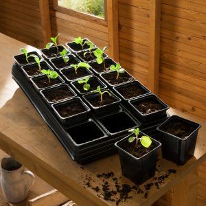 GROWTRAY 9 CM SQUARE POTS