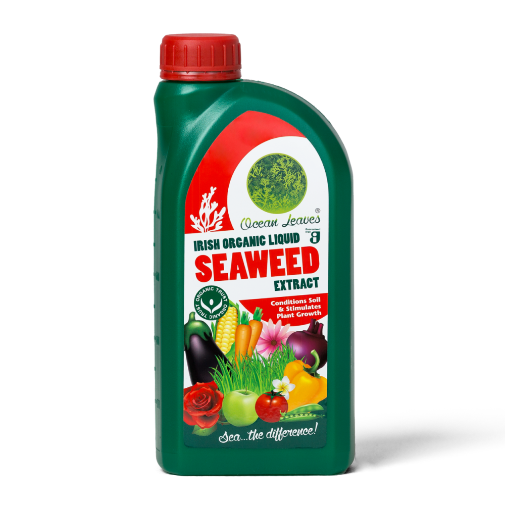Ocean Leaves Liquid Seaweed - 1L