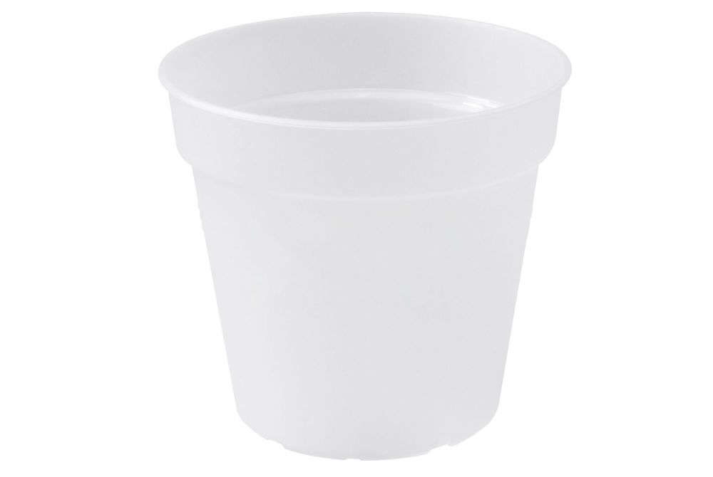 Green Basic Orchid 17 transparent