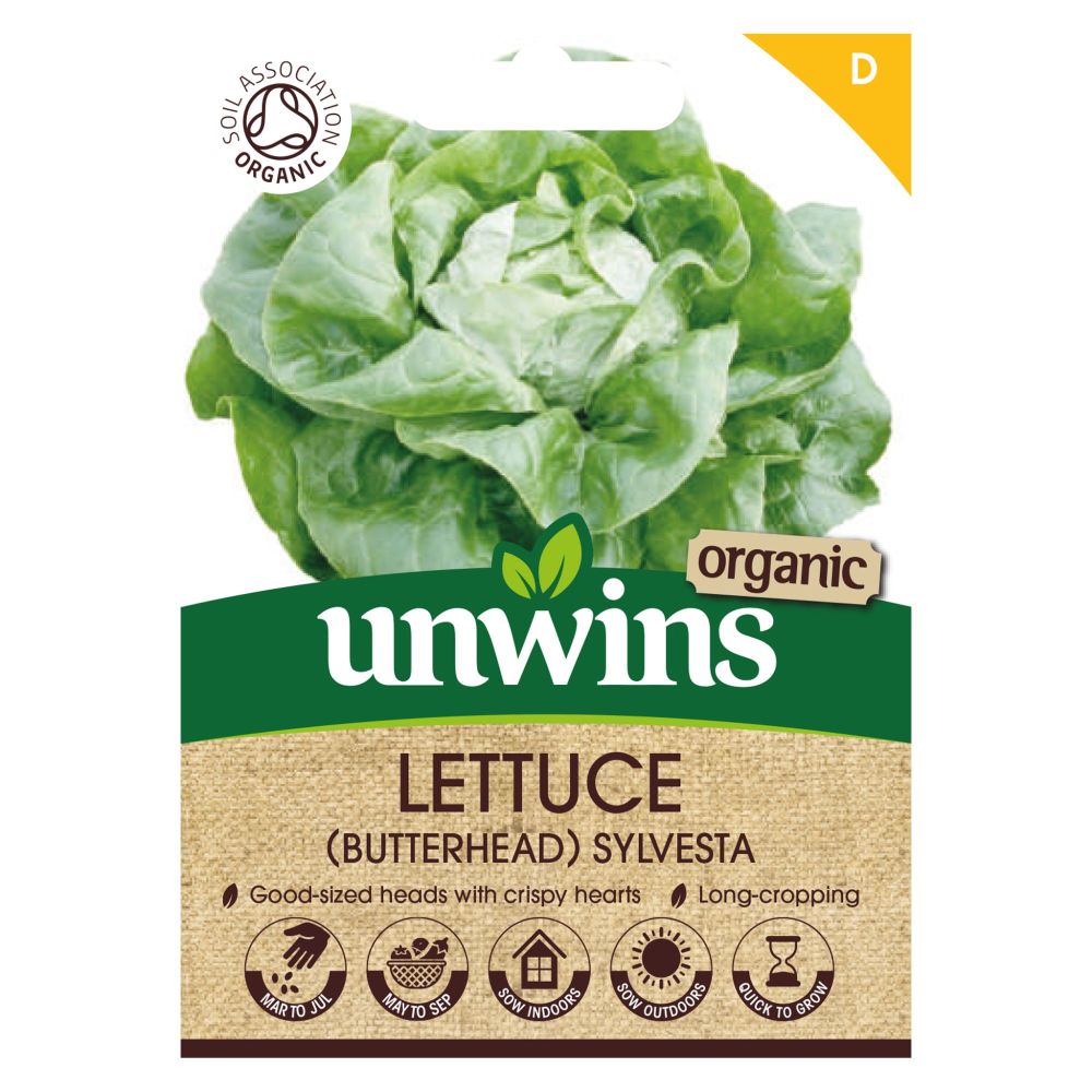 Lettuce (Butterhead) Sylvesta (Organic)