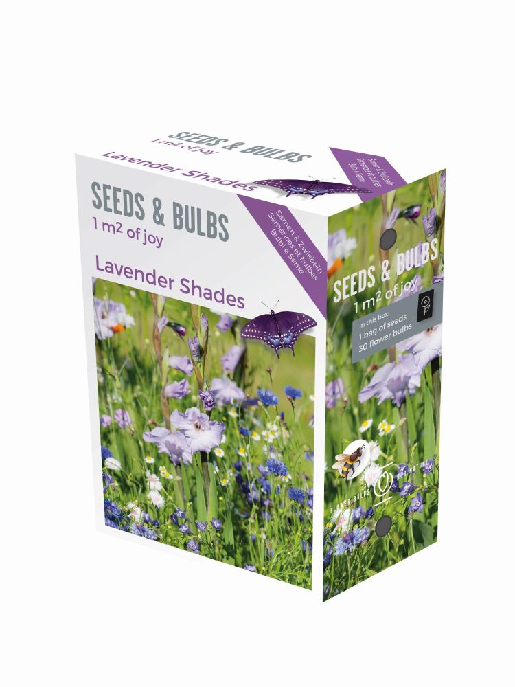 Seeds & Bulbs boxes Lavender Shades x40 Bulbs