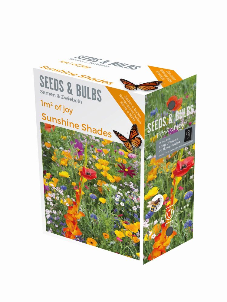Seeds & Bulbs boxes Sunshine Shades x40 Bulbs